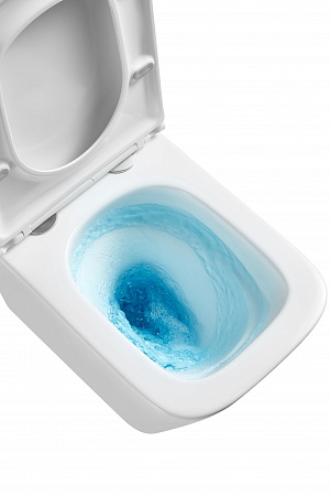 Подвесной унитаз безободковый Terminus Ватикан Monolit 490х340 белый Кропоткин - фото 8 Подвесной унитаз безободковый Terminus Ватикан Monolit 490х340 белый Кропоткин - фото 8