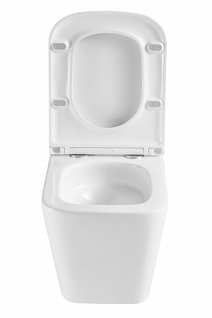 Подвесной унитаз безободковый Terminus Ватикан Monolit 490х340 белый Кропоткин - фото 7 Подвесной унитаз безободковый Terminus Ватикан Monolit 490х340 белый Кропоткин - фото 7