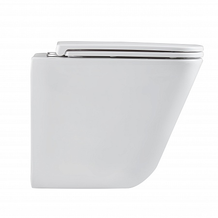 Подвесной унитаз безободковый Terminus Ватикан Monolit 490х340 белый Кропоткин - фото 4 Подвесной унитаз безободковый Terminus Ватикан Monolit 490х340 белый Кропоткин - фото 4