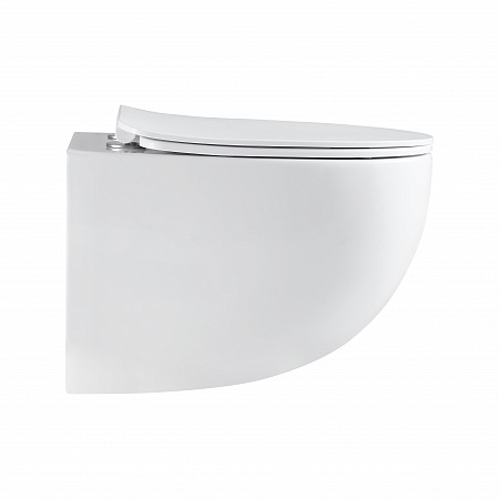 Подвесной унитаз безободковый Terminus Енисей Monolit 560х390 белый Кропоткин - фото 4 Подвесной унитаз безободковый Terminus Енисей Monolit 560х390 белый Кропоткин - фото 4