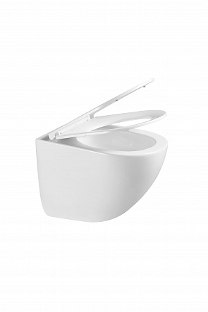 Подвесной унитаз безободковый Terminus Аврора Monolit 495х360 белый Кропоткин - фото 8 Подвесной унитаз безободковый Terminus Аврора Monolit 495х360 белый Кропоткин - фото 8