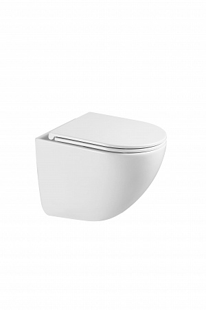 Подвесной унитаз безободковый Terminus Аврора Monolit 495х360 белый Кропоткин - фото 4 Подвесной унитаз безободковый Terminus Аврора Monolit 495х360 белый Кропоткин - фото 4