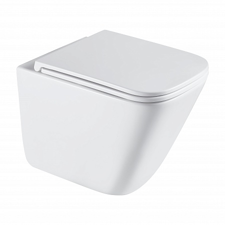 Подвесной унитаз безободковый Terminus Ватикан Monolit 490х340 белый Кропоткин - фото 2 Подвесной унитаз безободковый Terminus Ватикан Monolit 490х340 белый Кропоткин - фото 2