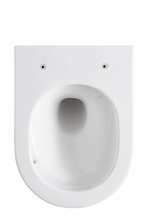 Подвесной унитаз безободковый Terminus Аврора Monolit 495х360 белый Кропоткин - фото 5 Подвесной унитаз безободковый Terminus Аврора Monolit 495х360 белый Кропоткин - фото 5