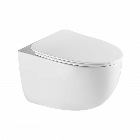 Подвесной унитаз безободковый Terminus Енисей Monolit 560х390 белый Кропоткин - фото 2 Подвесной унитаз безободковый Terminus Енисей Monolit 560х390 белый Кропоткин - фото 2