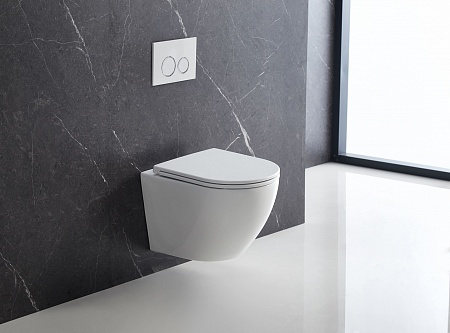 Подвесной унитаз безободковый Terminus Аврора Monolit 495х360 белый Кропоткин - фото 1 Подвесной унитаз безободковый Terminus Аврора Monolit 495х360 белый Кропоткин - фото 1