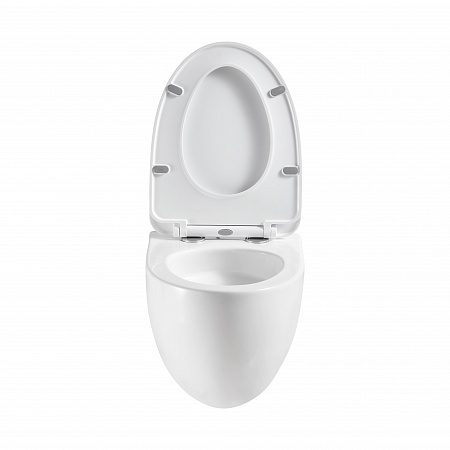 Подвесной унитаз безободковый Terminus Енисей Monolit 560х390 белый Кропоткин - фото 5 Подвесной унитаз безободковый Terminus Енисей Monolit 560х390 белый Кропоткин - фото 5