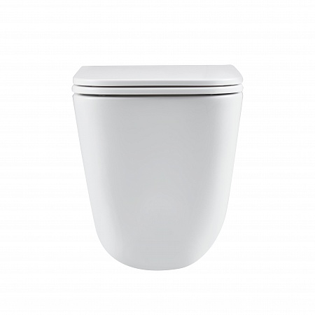 Подвесной унитаз безободковый Terminus Ватикан Monolit 490х340 белый Кропоткин - фото 6 Подвесной унитаз безободковый Terminus Ватикан Monolit 490х340 белый Кропоткин - фото 6