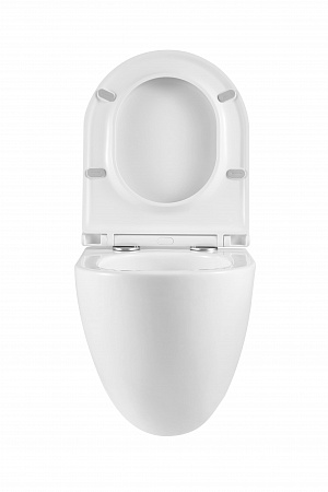 Подвесной унитаз безободковый Terminus Аврора Monolit 495х360 белый Кропоткин - фото 7 Подвесной унитаз безободковый Terminus Аврора Monolit 495х360 белый Кропоткин - фото 7