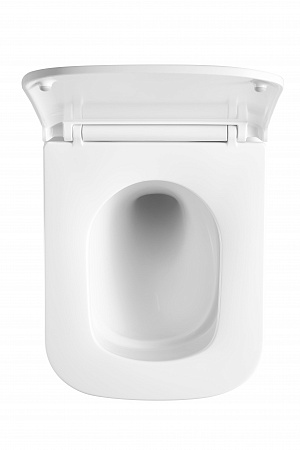 Подвесной унитаз безободковый Terminus Ватикан Monolit 490х340 белый Кропоткин - фото 3 Подвесной унитаз безободковый Terminus Ватикан Monolit 490х340 белый Кропоткин - фото 3